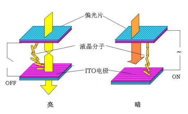 液晶的光學效果.png